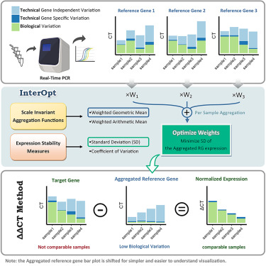 InterOpt: Improved gene expression quantification in qPCR experiments using weighted aggregation of reference genes
