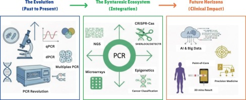 PCR and molecular diagnostics: Biotechnologic integration in clinical laboratories