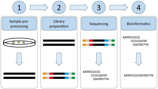 Library preparation for next generation sequencing: A review of automation strategies