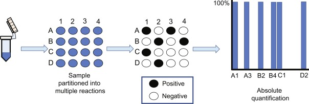 Digital Polymerase Chain Reaction