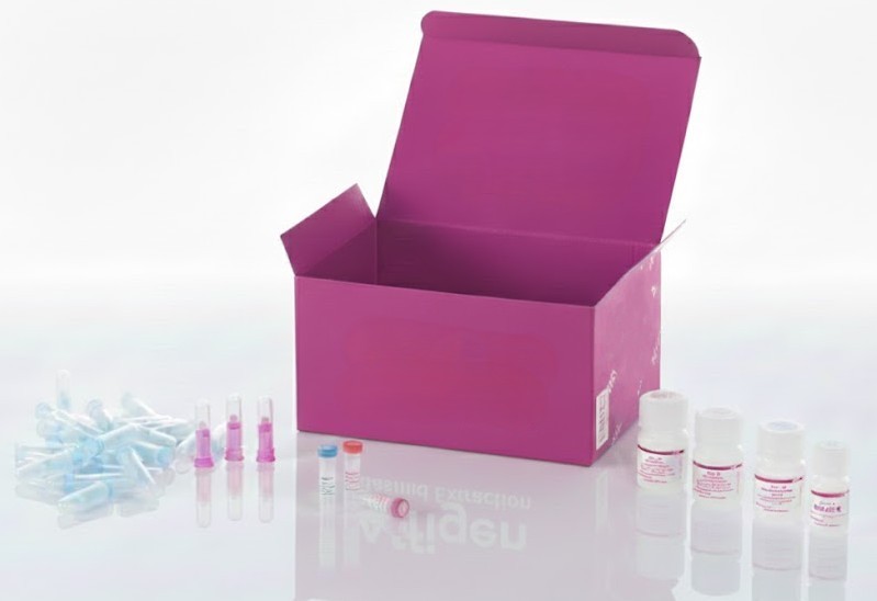 [0313-LUC481] Cáncer de pulmón emparejado con normal, 16 casos en 48 núcleos (2 mm), conjunto 1